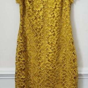 Enfocus Elegant Yellow Lace Dress
